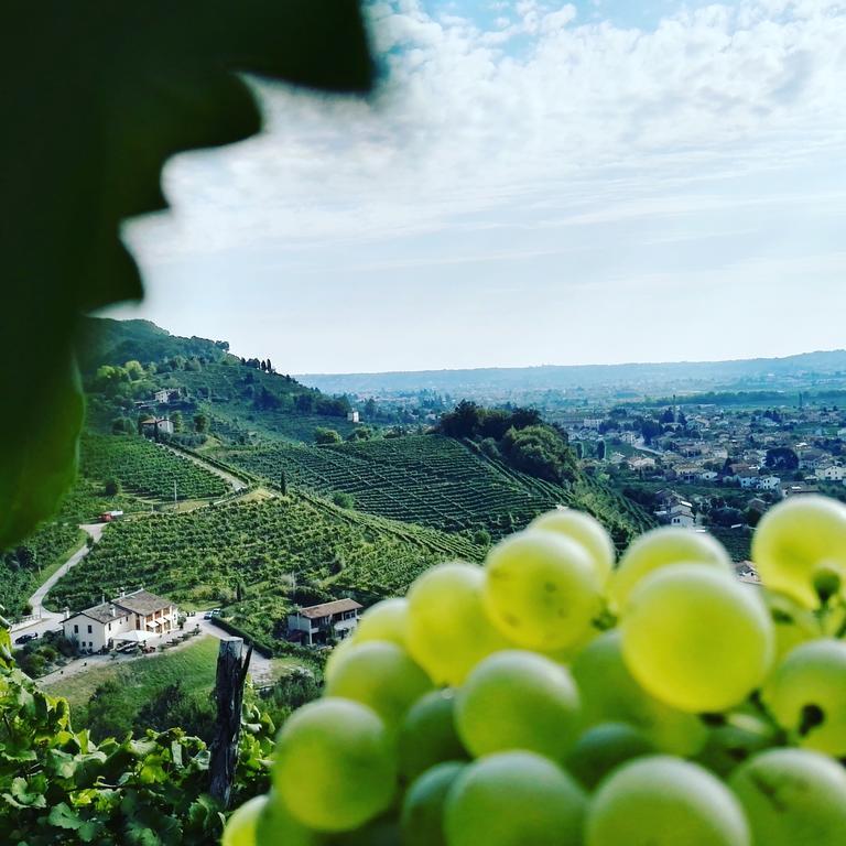 Agriturismo Al Credazzo Farra di Soligo Εξωτερικό φωτογραφία